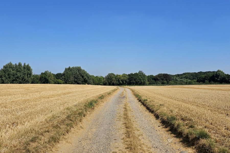 Dutch Mountain Trail