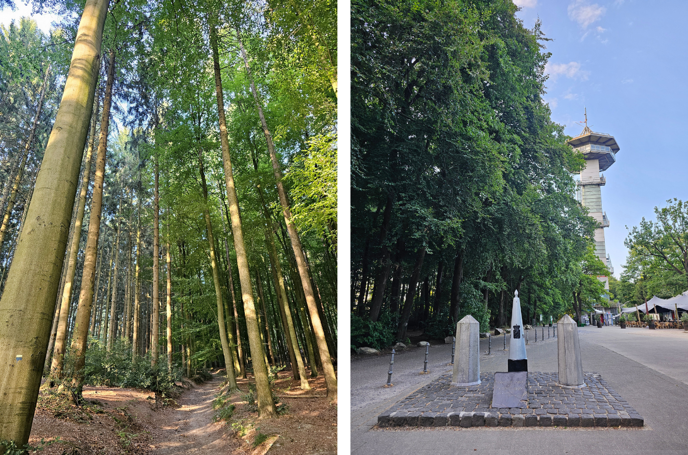 Dutch Mountain Trail